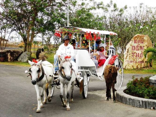 Năm ngọ, về Vũng Tàu cưỡi ngựa lấy may - ảnh 3